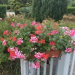 بيت للعطل Coup De Coeur Assure ! Calm Comme A La Maison ! Maison Spacieuse Avec Grande Terrasse Pour 2 A 5 Personnes Proximite Et Avec Wifi Et Parking Gratuits *