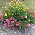 Coup De Coeur Assure ! Calm Comme A La Maison ! Maison Spacieuse Avec Grande Terrasse Pour 2 A 5 Personnes Proximite Et Avec Wifi Et Parking Gratuits Semesterbostad Granville