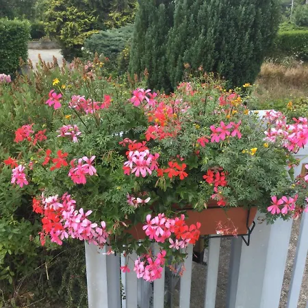 度假居 Coup De Coeur Assure ! Calm Comme A La Maison ! Maison Spacieuse Avec Grande Terrasse Pour 2 A 5 Personnes Proximite Et Avec Wifi Et Parking Gratuits *