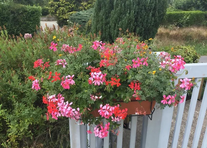 Nyaraló Coup De Coeur Assure ! Calm Comme A La Maison ! Maison Spacieuse Avec Grande Terrasse Pour 2 A 5 Personnes Proximite Et Avec Wifi Et Parking Gratuits *